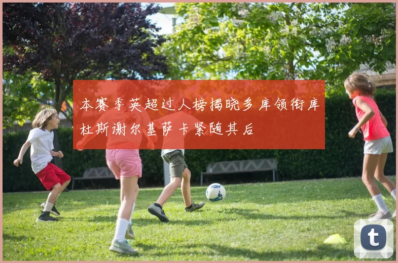 本赛季英超过人榜揭晓多库领衔库杜斯谢尔基萨卡紧随其后