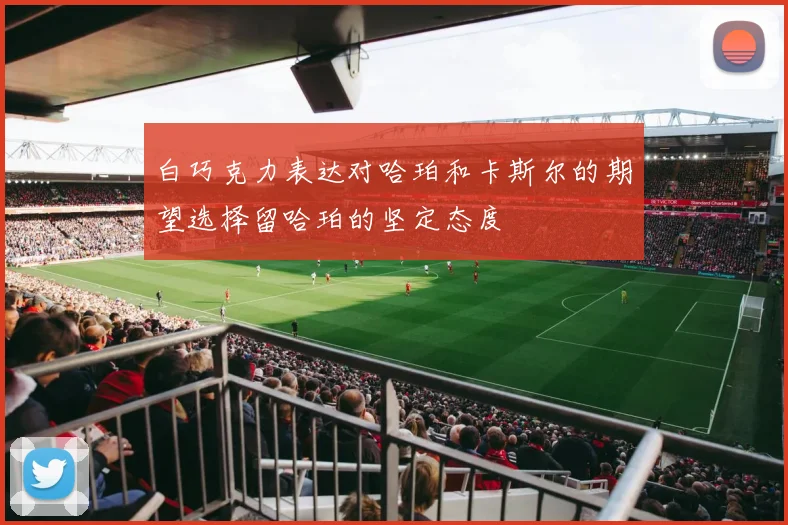 白巧克力表达对哈珀和卡斯尔的期望选择留哈珀的坚定态度